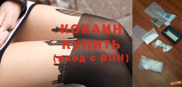 Альфа ПВП Верея