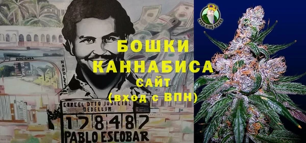 Альфа ПВП Верея