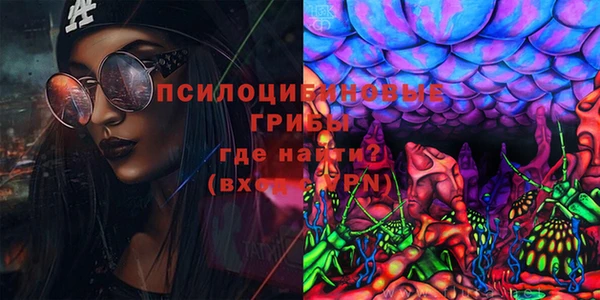 сатива Верхний Тагил