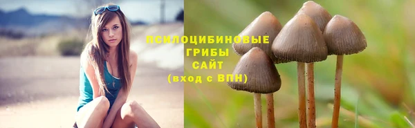 ешки Дмитров