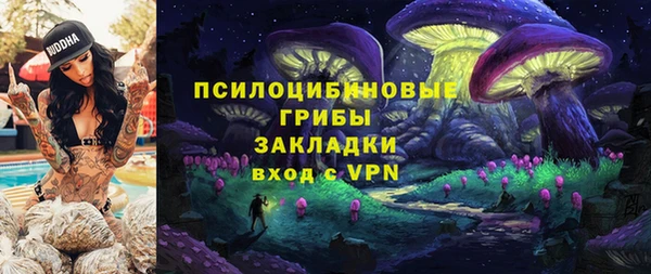 Альфа ПВП Верея