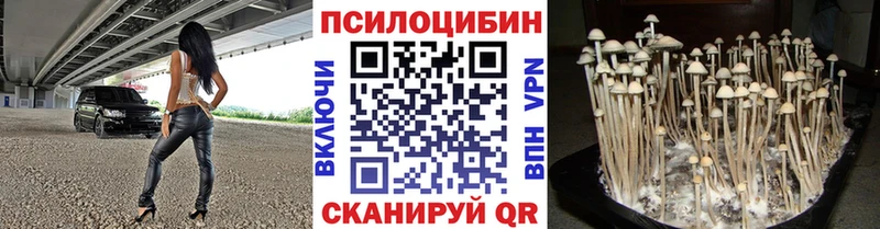 Галлюциногенные грибы мицелий  кракен рабочий сайт  Миллерово 