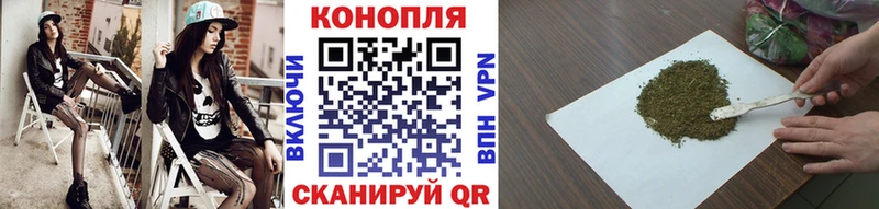 Каннабис семена  магазин  наркотиков  Миллерово 